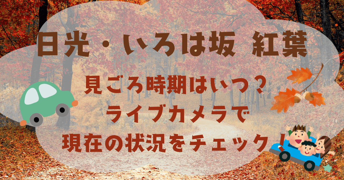 日光いろは坂見ごろ時期はいつ？ﾗｲﾌﾞｶﾒﾗで現在の状況チェック