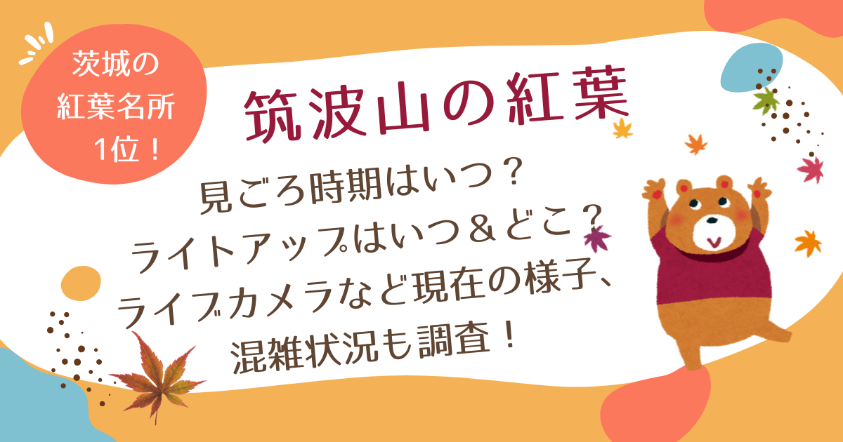 筑波山紅葉　見ごろ　ライトアップいつ＆どこ　ライブカメラ　現在の状況　混雑状況