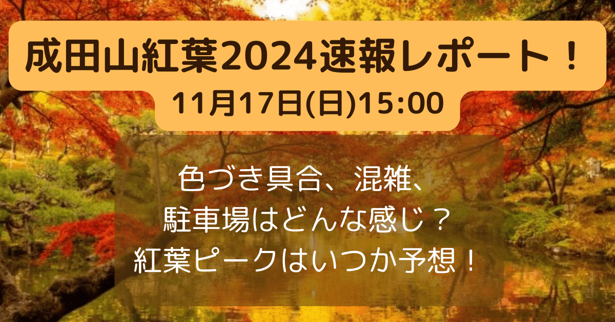 成田山紅葉　11月17日　速報レポート　現在の状況　色づき具合　混雑　見ごろ予想　駐車場