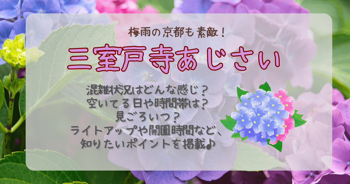 三室戸寺　あじさい　混雑状況　空いてる日　空いてる時間帯　おすすめ　見ごろ　ライトアップ　開園時間　開園期間　いつからいつまで　何時から　何時まで　駐車場　アクセス　電車　宇治　京都　紫陽花　所要時間
