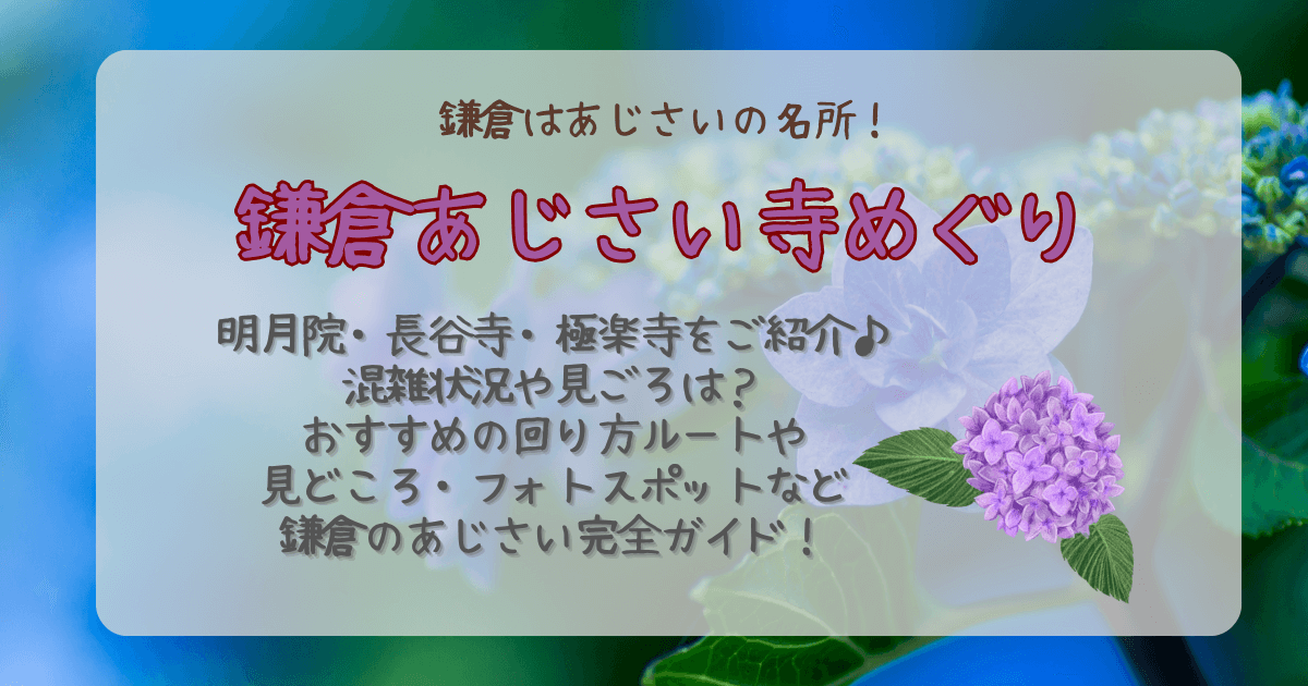 鎌倉　あじさい寺　名所　紫陽花　明月院　長谷寺　極楽寺　混雑状況　見ごろ　整理券　おすすめルート　見どころ　フォトスポット　江ノ電　ホテル　