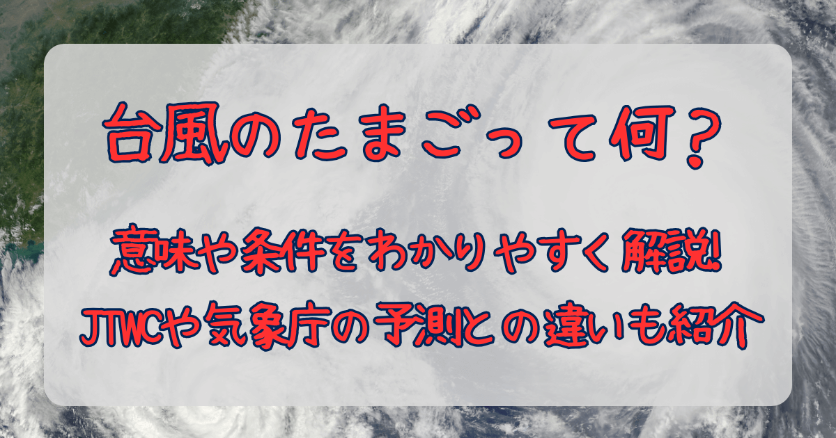 台風のたまご　台風　たまご　意味　条件　解説　気象庁　米軍　ヨーロッパ　予測　予報　違い　比較　台風になる条件　熱帯低気圧　