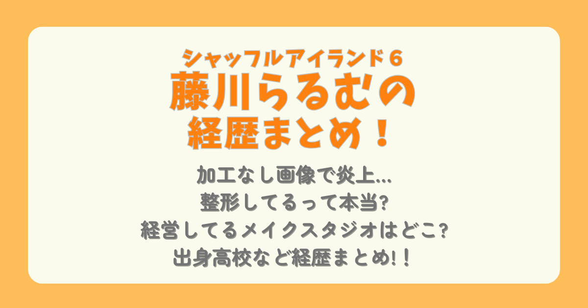 藤川らるむ　経歴　学歴　プロフィール　シャッフルアイランド6　加工なし　画像　整形　炎上　メイクスタジオ　経営　高校　実業家　モデル　ハーフ　