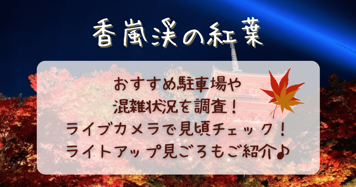 香嵐渓　紅葉　駐車場　アクセス　混雑　混雑回避　渋滞　渋滞回避　混雑予想　ライブカメラ　現在　見ごろ　見頃　予想　ライトアップ　いつから　いつまで　期間　何時から　