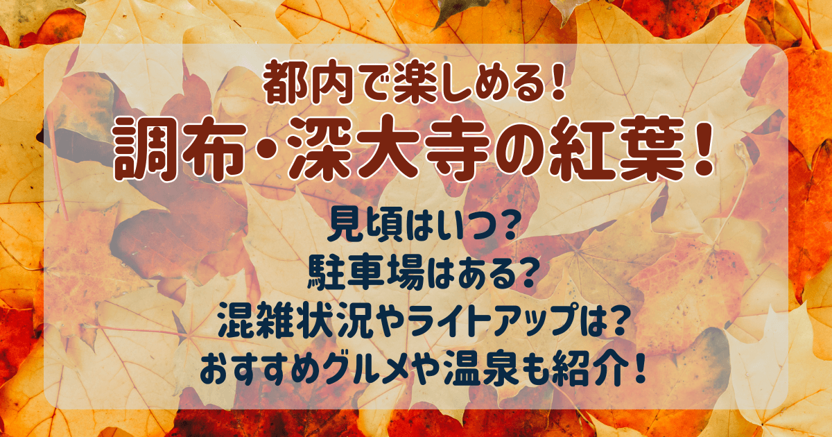 深大寺　紅葉　見ごろ　見頃　いつ　神代植物園　混雑状況　混雑回避　混雑　ライトアップ　駐車場　予約　グルメ　温泉　おすすめ　日帰り温泉　新宿から30分　ヒルナンデス　だるまみくじ　そば祭り
