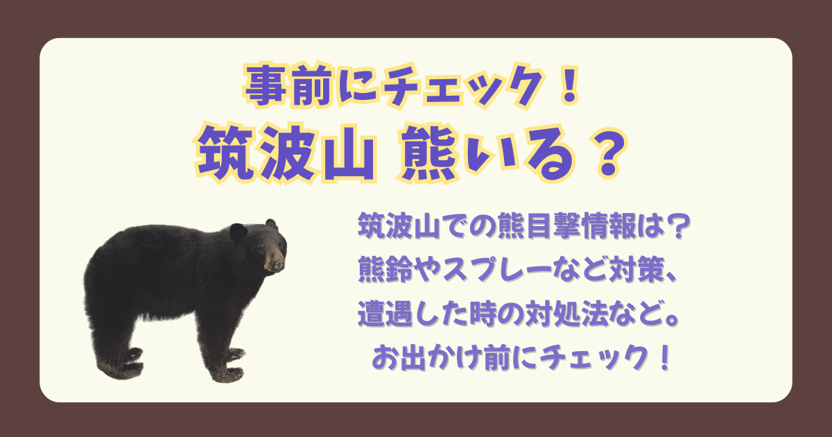 筑波山　熊いる　熊　出没　情報　目撃　茨城県　熊鈴　熊撃退スプレー　使い方　対処法　遭遇　対策　対応　紅葉　秋　出没マップ